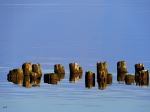 Pier Stumps
